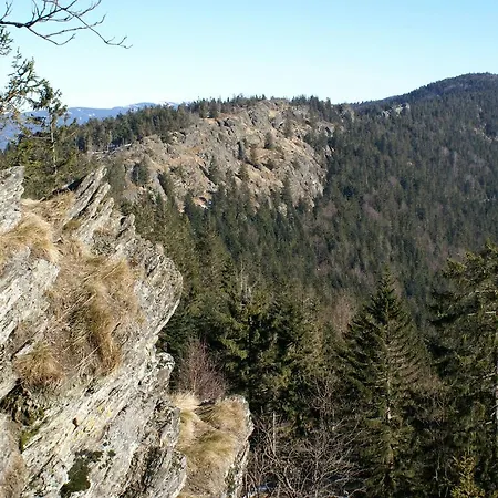 Von Brandt Apartamento